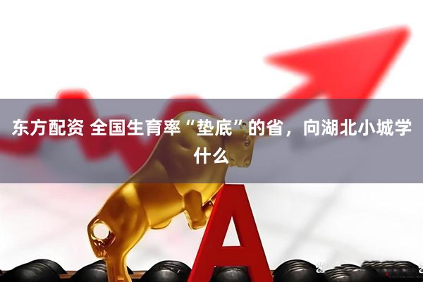 东方配资 全国生育率“垫底”的省，向湖北小城学什么