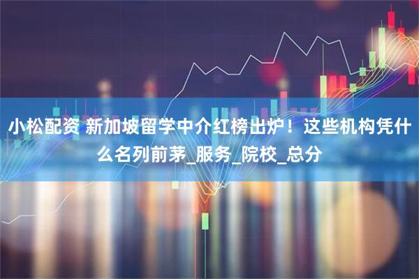 小松配资 新加坡留学中介红榜出炉！这些机构凭什么名列前茅_服务_院校_总分
