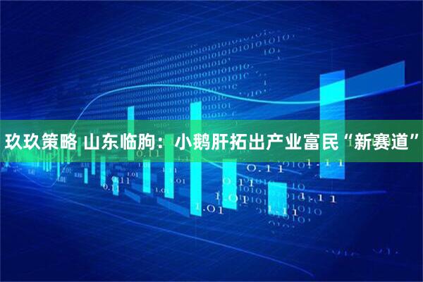 玖玖策略 山东临朐：小鹅肝拓出产业富民“新赛道”
