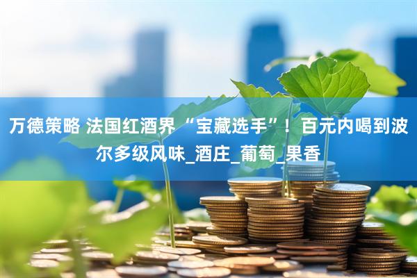 万德策略 法国红酒界 “宝藏选手”！百元内喝到波尔多级风味_酒庄_葡萄_果香