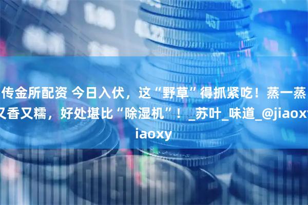 传金所配资 今日入伏，这“野草”得抓紧吃！蒸一蒸又香又糯，好处堪比“除湿机”！_苏叶_味道_@jiaoxy