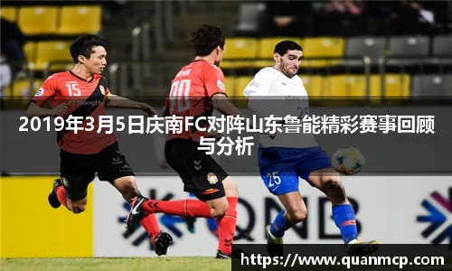 333体育官网